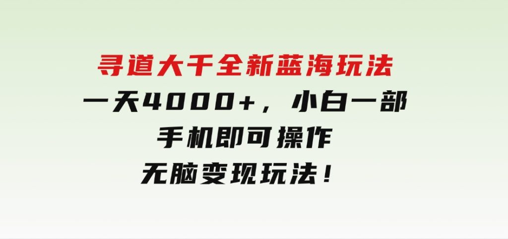寻道大千全新蓝海玩法，一天4000+，小白一部手机即可操作，无脑变现玩法！-柚子资源网