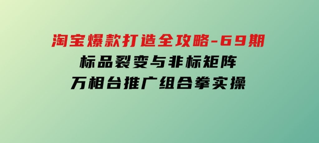淘宝爆款打造全攻略-69期，标品裂变与非标矩阵，万相台推广组合拳实操-柚子资源网