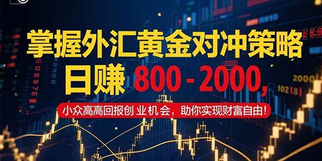 （15198期）掌握外汇黄金对冲策略，日赚800–2000，小众高回报创业机会，助你实…-柚子资源网