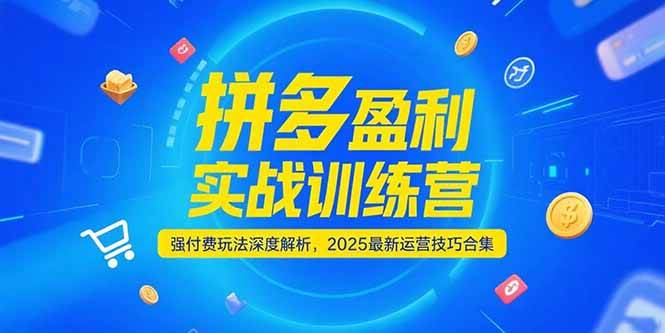 （15183期）拼多多盈利实战训练营，强付费玩法深度解析，2025最新运营技巧合集-柚子资源网