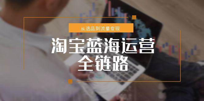 （15160期）淘宝蓝海运营全链路，从选品到流量变现，小类目突围完整方案-柚子资源网