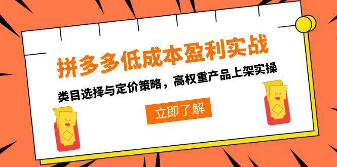 （15143期）拼多多低成本盈利实战，类目选择与定价策略，高权重产品上架实操-柚子资源网