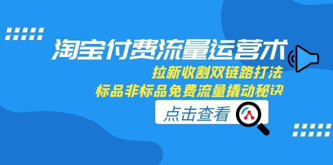 （15135期）淘宝付费流量运营术，拉新收割双链路打法，标品非标品免费流量撬动秘诀-柚子资源网