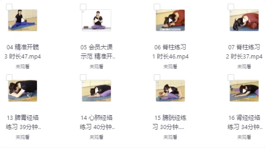 景瑶阴瑜伽初级精进教培20课-柚子资源网
