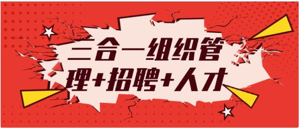 三合一组织管理+招聘+人才-柚子资源网