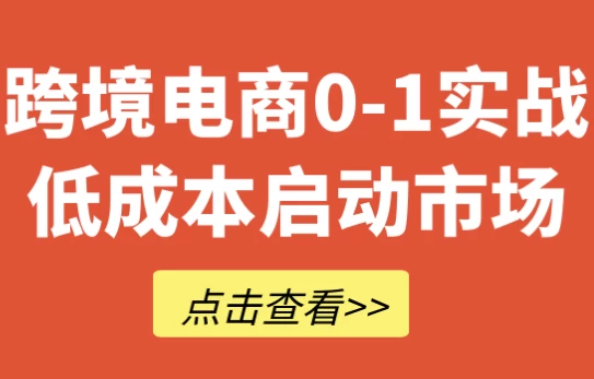 跨境电商0-1实战低成本启动市场-柚子资源网