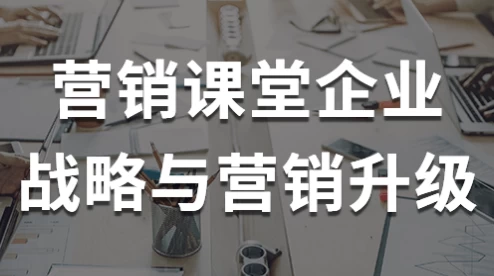 营销课堂企业战略与营销升级-柚子资源网