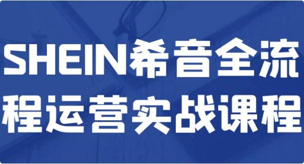 SHEIN希音全流程运营实战课程-柚子资源网