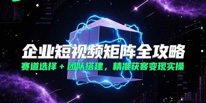 （15242期）企业短视频矩阵全攻略，赛道选择+团队搭建，精准获客变现实操-柚子资源网
