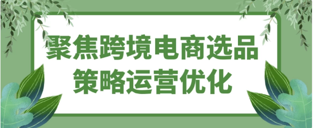 聚焦跨境电商选品策略运营优化-柚子资源网