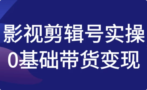 影视剪辑号实操0基础带货变现-柚子资源网