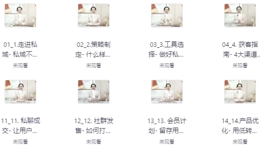 私域致胜，从0到1搭建客户成交体系-柚子资源网