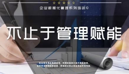 企业管理数据分析全体系落地培训-柚子资源网