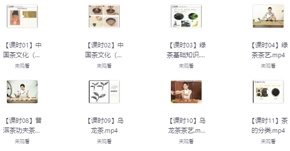 茶艺全套课程合集-柚子资源网
