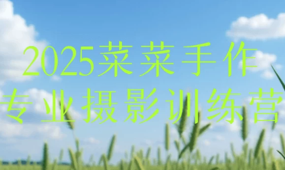 2025菜菜手作专业摄影训练营-柚子资源网