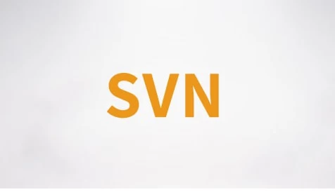 SVN视频课程–带源码课件-柚子资源网