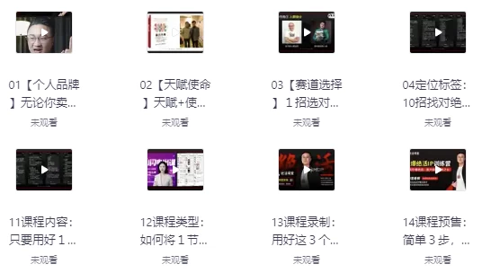 引爆绝活IP训练营，14天引爆绝活，放大你的一技之长-柚子资源网