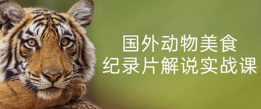 国外动物美食纪录片解说实战课-柚子资源网