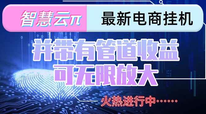 （15314期）智慧云π电脑挂机单机每天收益300—500+并带有团队管道收益可无限放大-柚子资源网