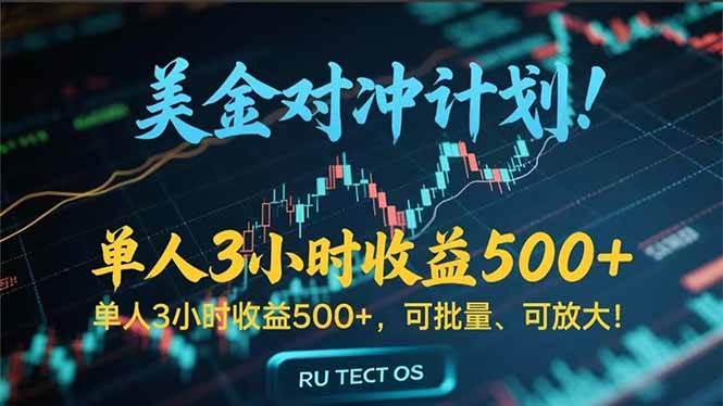 （15321期）长久稳定的撸美金项目，平均3小时收入500+，可公司实地考察实地操作！-柚子资源网