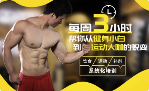扔掉无效健身！每周3小时，拥有完美身材-柚子资源网