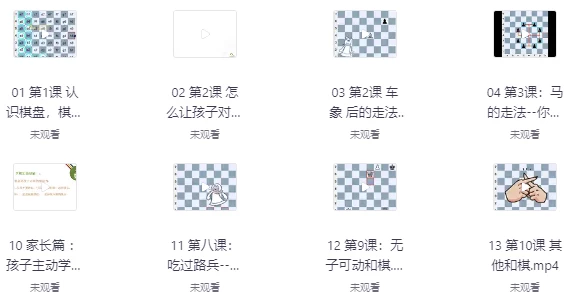 国际象棋零基础教学-柚子资源网