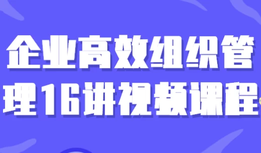 企业高效组织管理16讲视频课程-柚子资源网