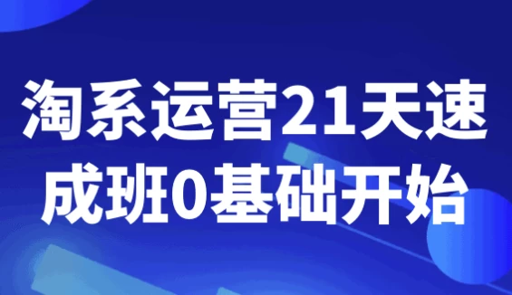 淘系运营21天速成班0基础开始-柚子资源网