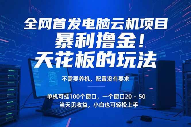 （15323期）电脑云机项目暴力撸金玩法，不需要养机配置没有要求单机100个窗口一…-柚子资源网