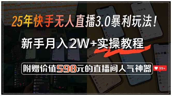 （15335期）25年快手无人直播3.0暴利玩法！，新手月入2W+实操教程，附赠价值598元…-柚子资源网