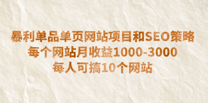（6503期）暴利单品单页网站项目和SEO策略每个网站月收益1000-3000每人可搞10个-柚子资源网