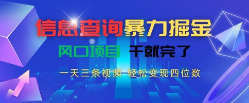 信息查询暴力掘金，一天三条视频，轻松变现四位数，风口项目干就完了【揭秘】-柚子资源网