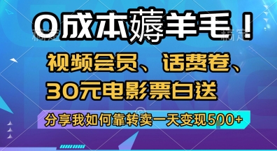 0成本薅羊毛!视频会员、话费卷、30元电影票白送，分享我如何靠转卖一天变现5张+【揭秘】-柚子资源网