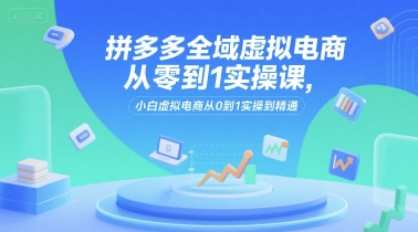 拼多多全域虚拟电商从零到1实操课，小白虚拟电商从0到1实操到精通-柚子资源网