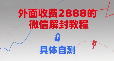 外面收费2888的微信解封教程，具体自测-柚子资源网