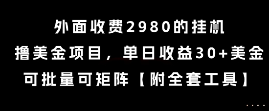 外面收费2980的挂G撸美金项目，单日收益30+美金，可批量可矩阵【揭秘】-柚子资源网