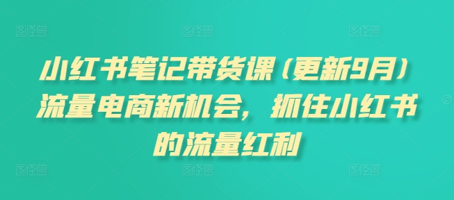 小红书笔记带货课(更新25年6月)流量电商新机会，抓住小红书的流量红利-柚子资源网