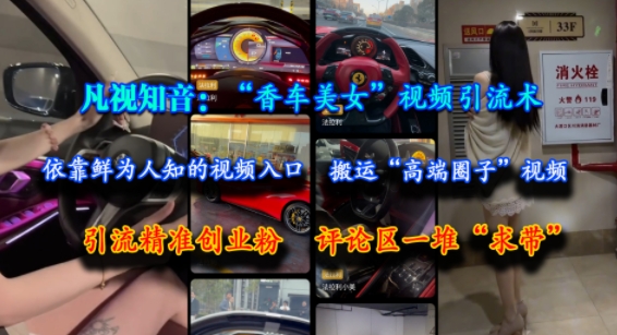 凡视知音：“香车美女”视频引流术，依靠鲜为人知的视频入口，搬运“高端圈子”视频，引流精准创业粉，评论区一堆“求带”-柚子资源网