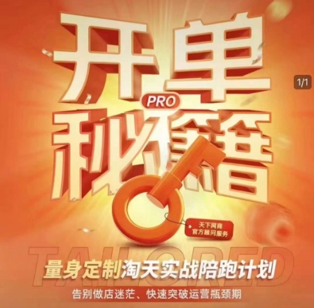 淘宝开单秘籍PRO，量身定制淘天实战陪跑计划，告别做店迷茫、快速突破运营瓶颈期（更新6月）-柚子资源网