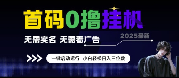 首码0撸挂G项目，无需实名无需看广告一键启动运行，小白轻松日入三位数【揭秘】-柚子资源网