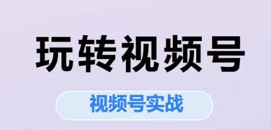 玩转视频号，视频号实战系列课-柚子资源网