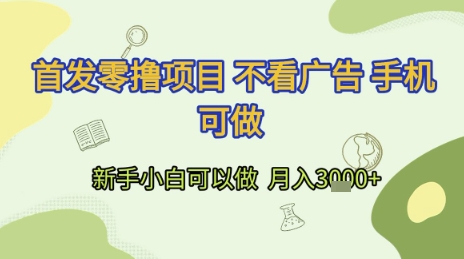首发零撸项目不看广告手机可做新手小白可以做 月入3k+【揭秘】-柚子资源网