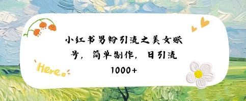小红书男粉引流项目之美女账号6，简单制作，条条爆款原创，不违规-柚子资源网