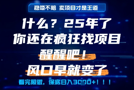 什么？25年你还在疯狂找项目做，醒醒吧，看完这些你全都懂了！【揭秘】-柚子资源网
