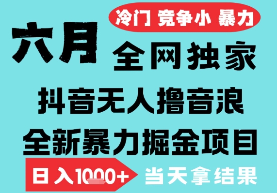 2025年6月高爆抖音无人直播最新撸音浪掘金项目，无脑日入1k+，低门槛小白可做，可矩阵放大【揭秘】-柚子资源网
