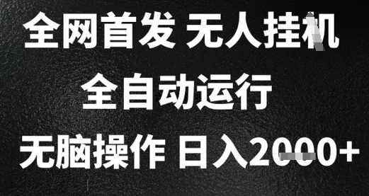 2025首发无人挂G项目，日入2k+，全自动运行，无脑操作，长期稳定小白可玩【揭秘】-柚子资源网