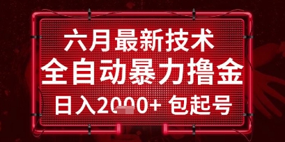 六月最新技术全自动暴力撸金，稳定日入2k+包起号，长期稳定【揭秘】-柚子资源网