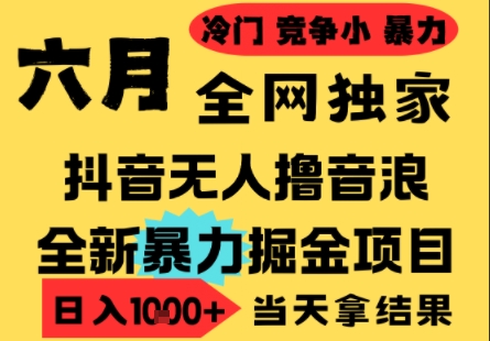 25年6月高爆抖音无人直播最新撸音浪掘金项目，小白可做，无脑日入1k+，门槛低可批量矩阵【揭秘】-柚子资源网
