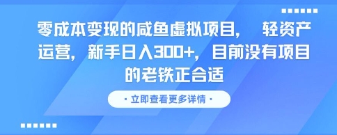 零成本变现的咸鱼虚拟项目，轻资产运营，新手日入3张+，目前没有项目的老铁正合适-柚子资源网