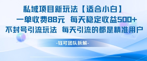 私域项目新玩法【适合小白】一单收费88.每天稳定收益几张-柚子资源网